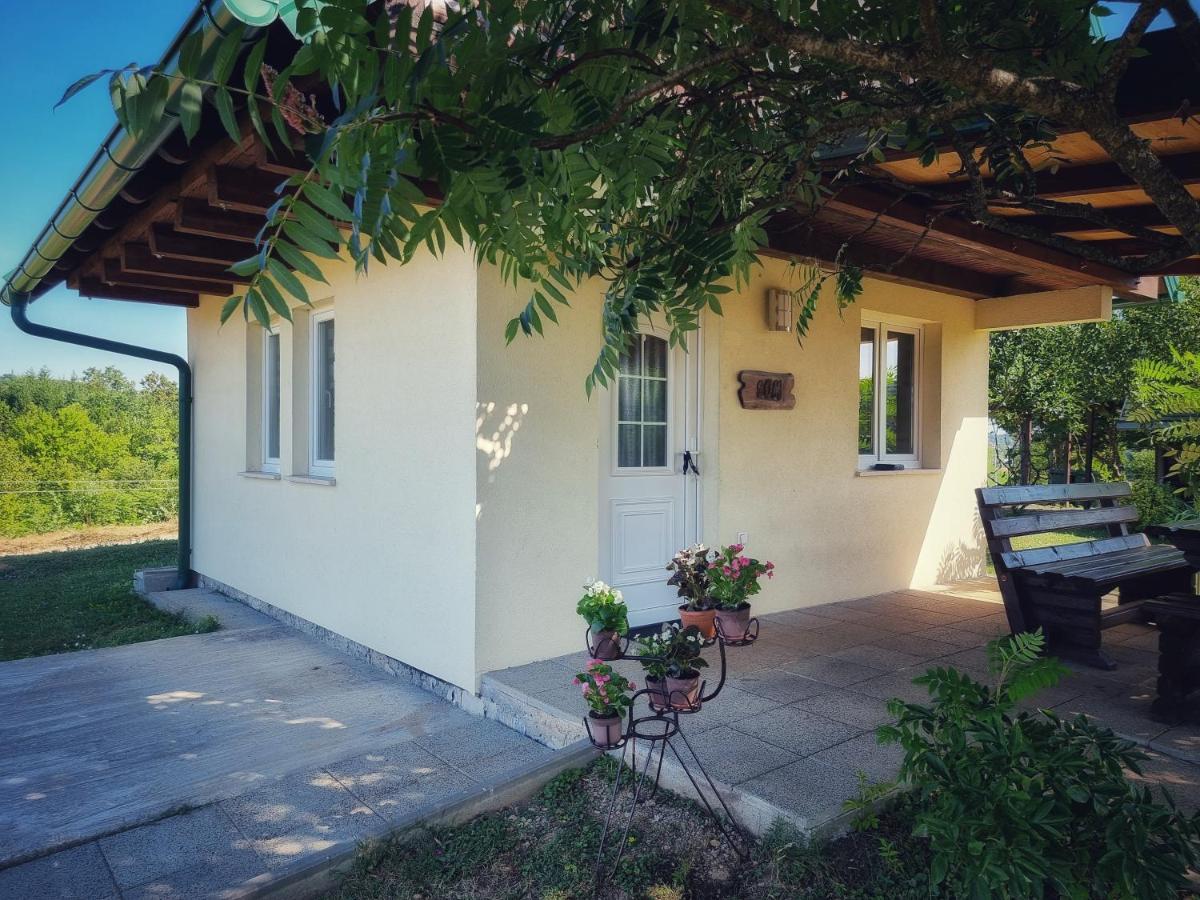 Guesthouse Mreznica- Mreznicka Idila Resort Galovic-Selo ภายนอก รูปภาพ