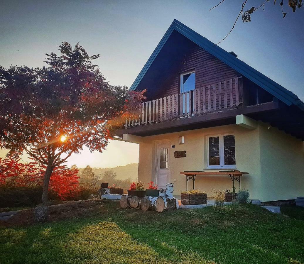 Guesthouse Mreznica- Mreznicka Idila Resort Galovic-Selo ภายนอก รูปภาพ